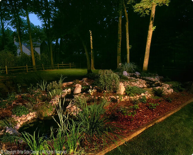 efficient softscape lighting companies